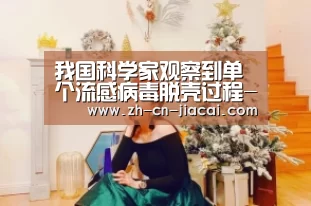 我国科学家观察到单个流感病毒脱壳过程-家彩