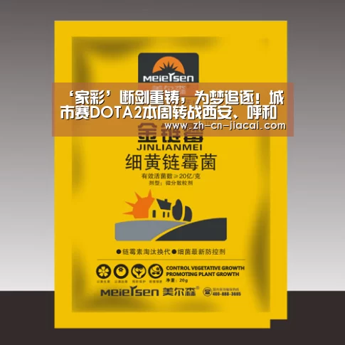 ‘家彩’断剑重铸，为梦追逐！城市赛DOTA2本周转战西安、呼和浩特
