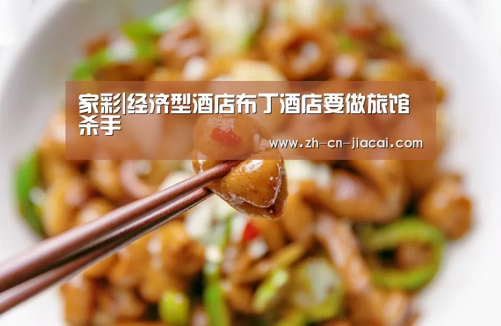 家彩|经济型酒店布丁酒店要做旅馆杀手