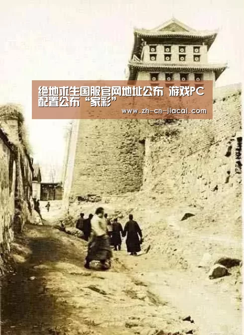 家彩