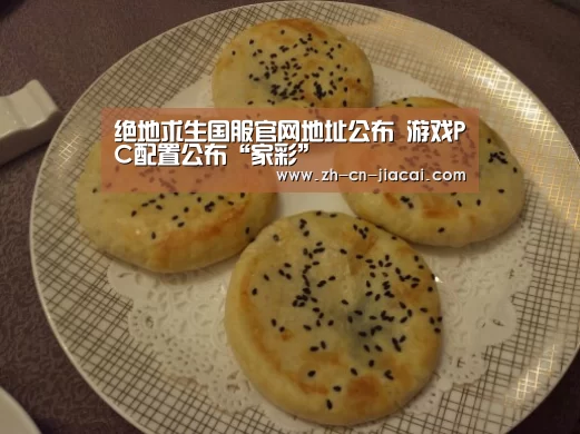 绝地求生国服官网地址公布 游戏PC配置公布“家彩”
