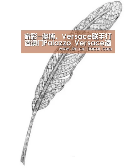 家彩