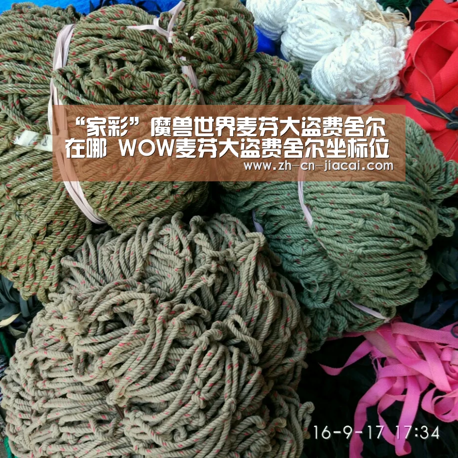“家彩”魔兽世界麦芬大盗费舍尔在哪 WOW麦芬大盗费舍尔坐标位置详解